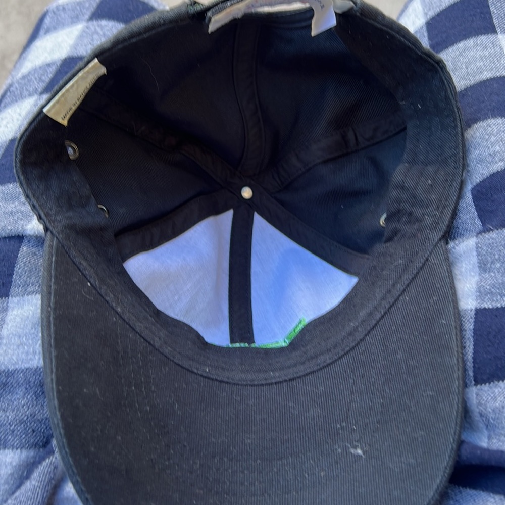 Prius hat - Picture 2 of 4